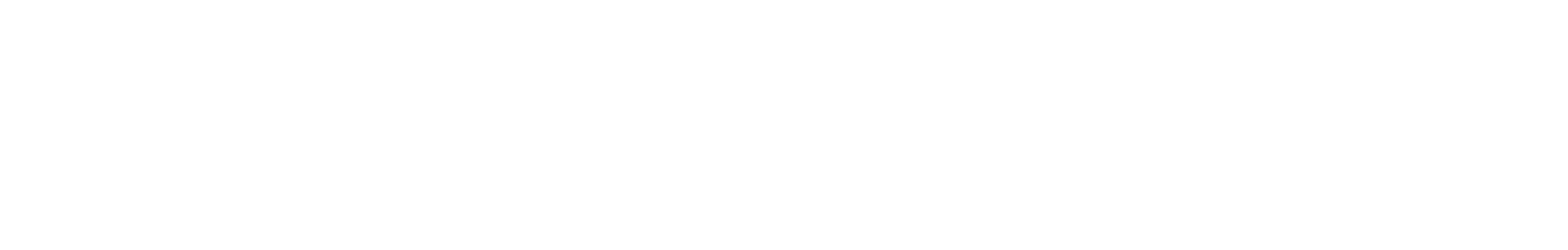 Irish Social Club of Boston
